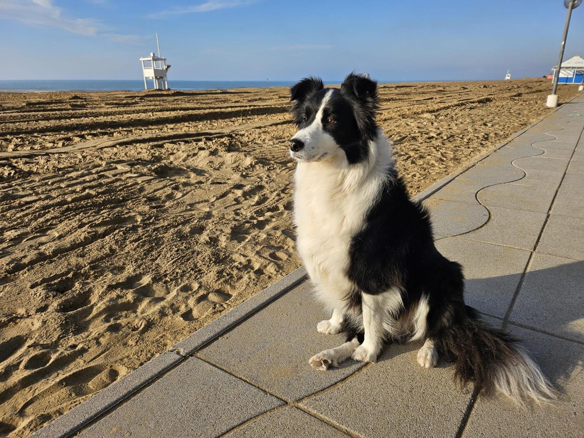 Panorama - Nuova Gestione 3* Lido di Jesolo